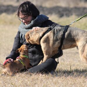 486454291_1082649123906560_7566963792965119100_n