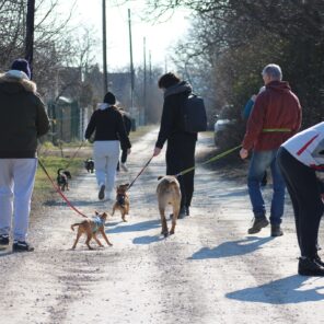 486708399_1082649070573232_5761762435821825799_n