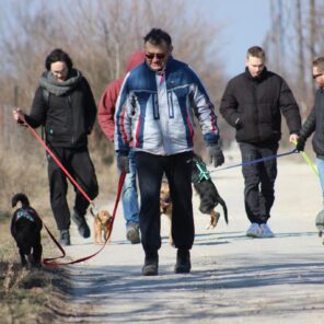 486835264_1082649037239902_5829839724449238753_n